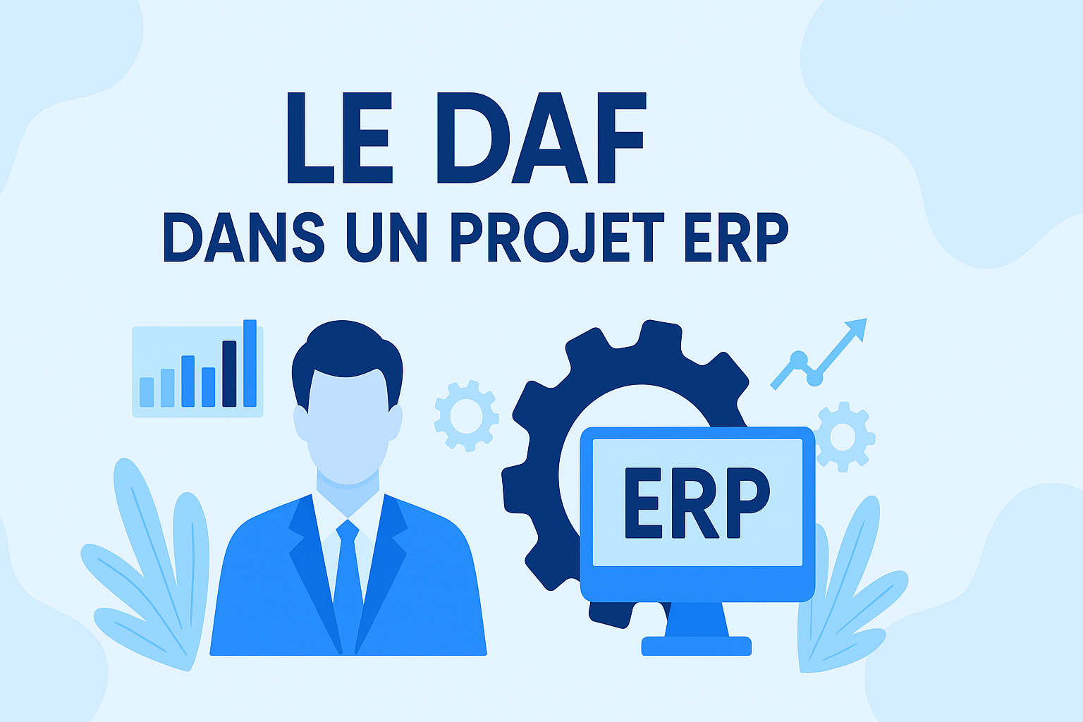 illustration du DAF dans un projet ERP